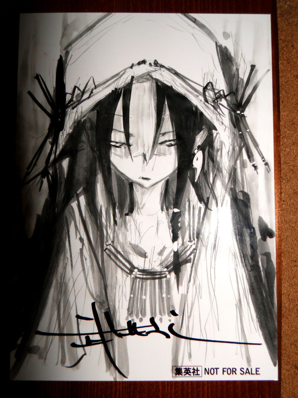 English Shaman King Omnibus #1 Overview - Patch Café