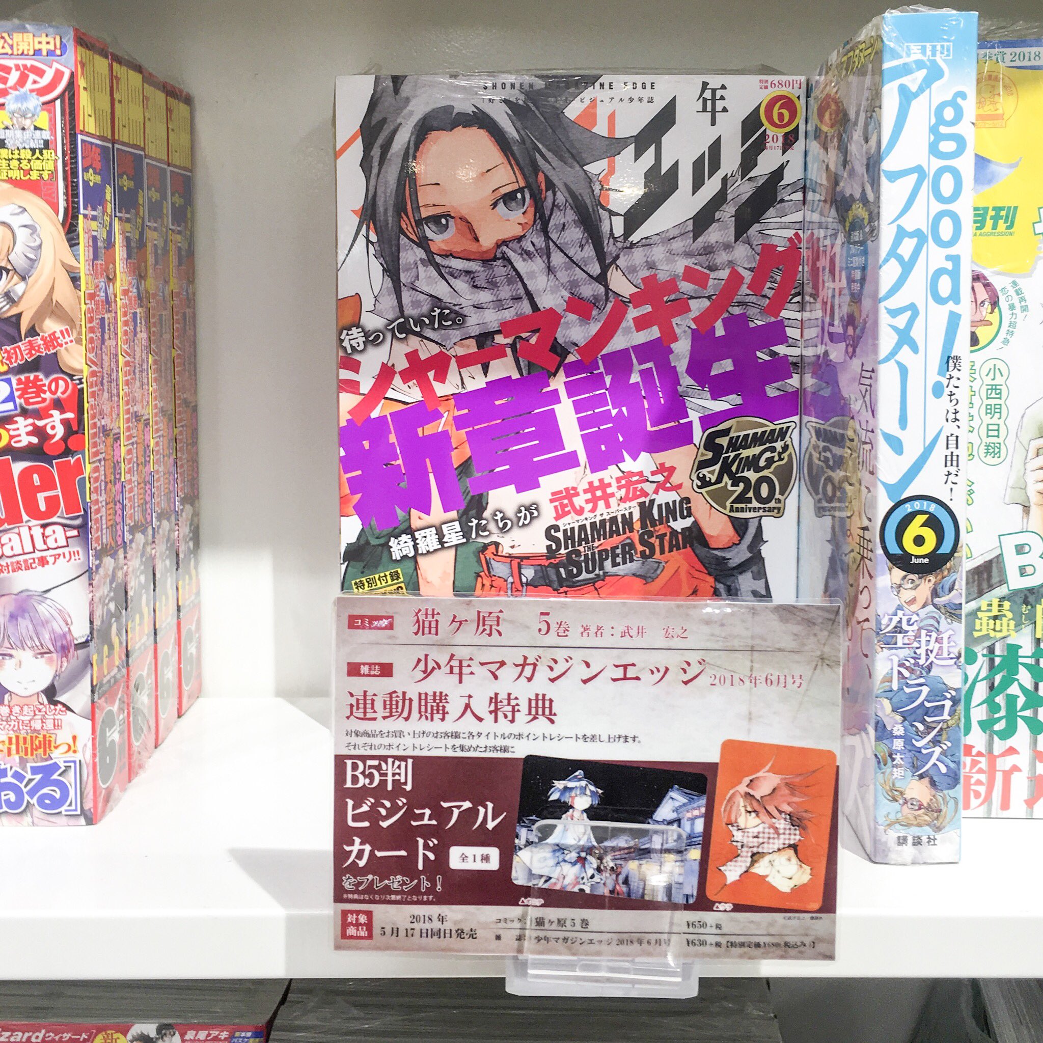 Shaman King Red Crimson Spin Off Manga Titled Patch Cafe