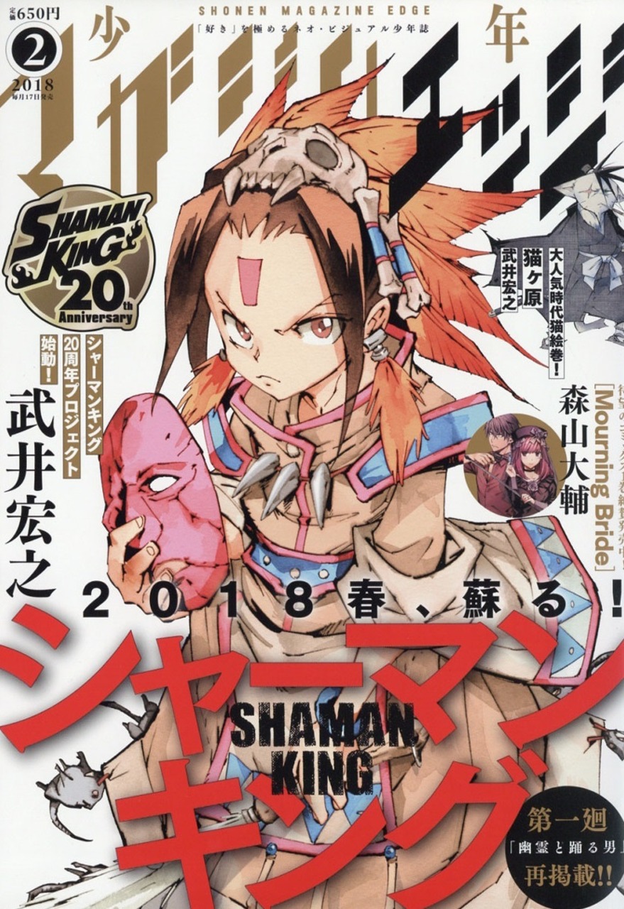 продолжение манги shaman king фото 32